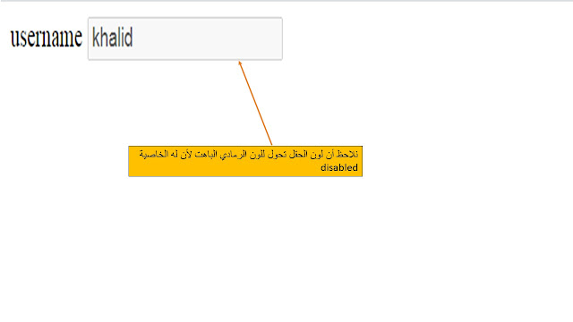 بعض من خصائص attributes التى تستخدم مع النموذج form في لغة Html