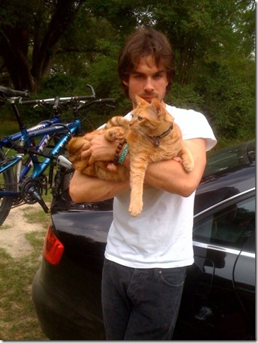 boys cats7