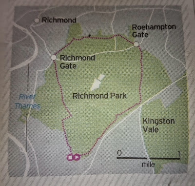 Richmond Park Tamsin trail running map