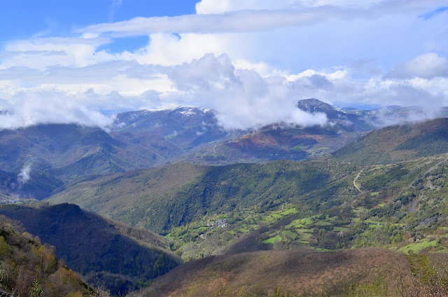 bosque da Devesa de Rogueira. Folgoso do Courel. Lugo