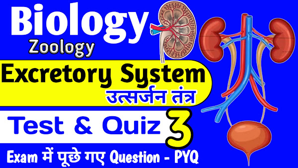 excretory System Complete Quiz