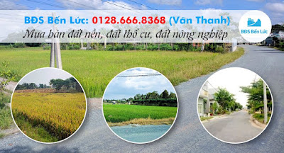 Bán Đất Thổ Cư Mặt Tiền Tỉnh Lộ 835c