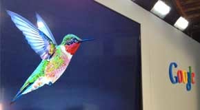 hummingbird algorithm