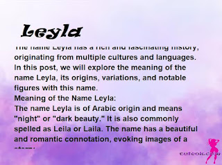 meaning of the name "Leyla"