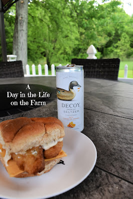 fish sandwich and Decoy Seltzer