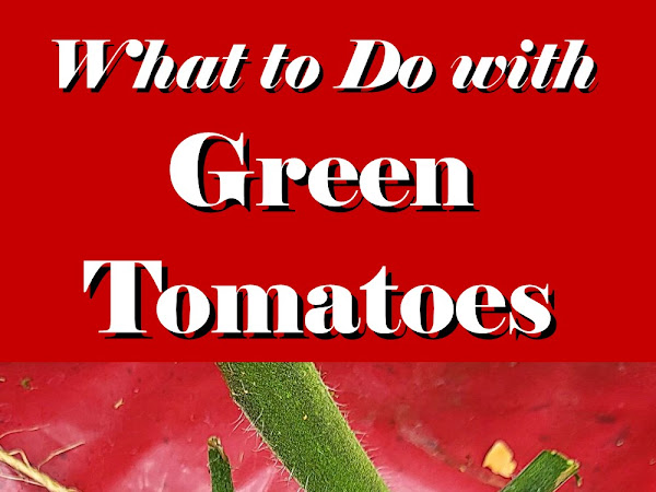 What to Do with Green Tomatoes (Ripening, Cooking, Baking, and Canning!)