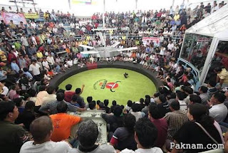 arena sabung ayam laga Thailand