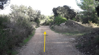 Prenafeta a Santes Creus GR-175 Ruta del Cister, camí del Mas d'en Roig en direcció a Santes Creus