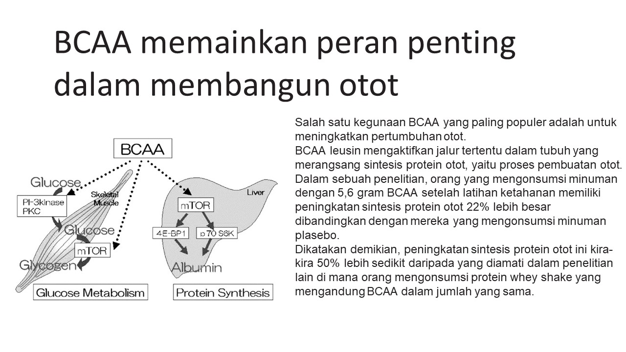 kaca mata anti radiasi