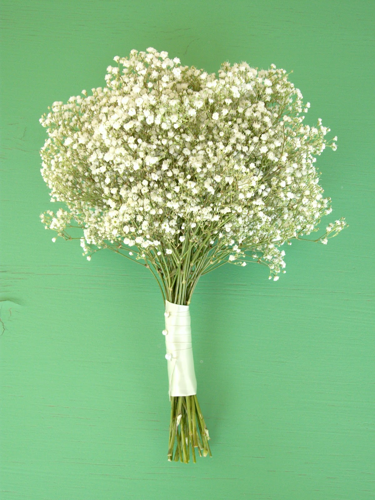 be carrying babys breath