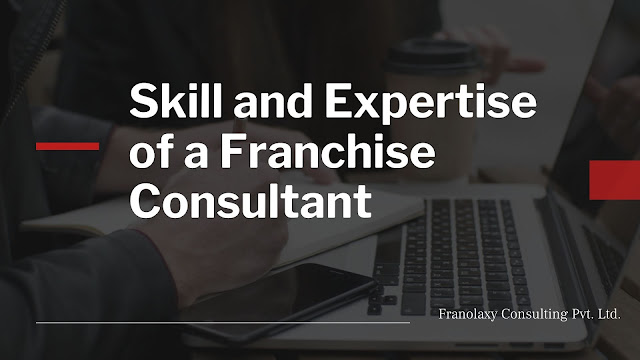 Skill and Expertise of a Franchise Consultant - Franolaxy