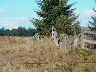 Mima Mound