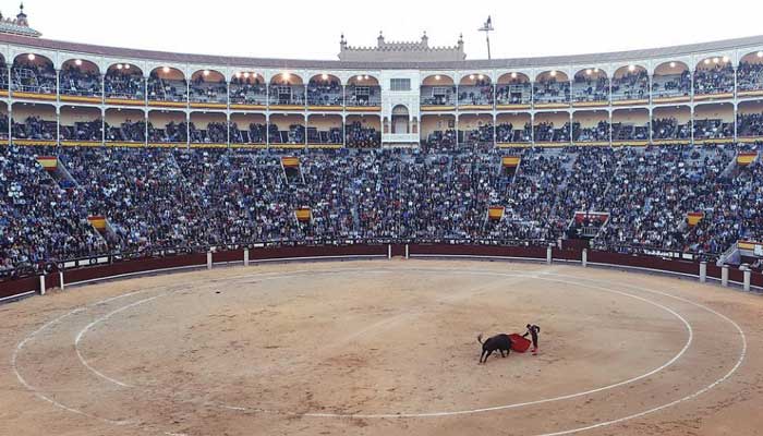 Bullfighting Best Festival in Spain, World's Largest