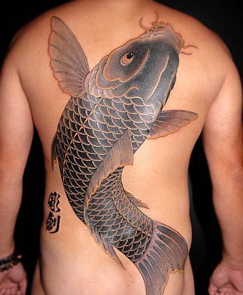 scratch tattoo. Koi Tattoo Design In Back Body
