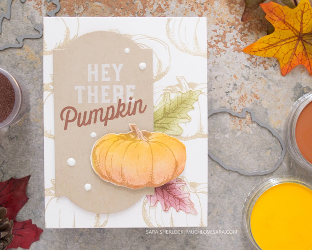 Hop along with the Crafty Friends, as we feature Concord & 9th this month!  This simple and pretty, fall card was created using the Autumn Harvest bundle, along with the Friendship Farms bundle from Concord & 9th.  Video tutorial showing how to color the images with PanPastels - quick and easy!  All supplies are listed in the blog post. 