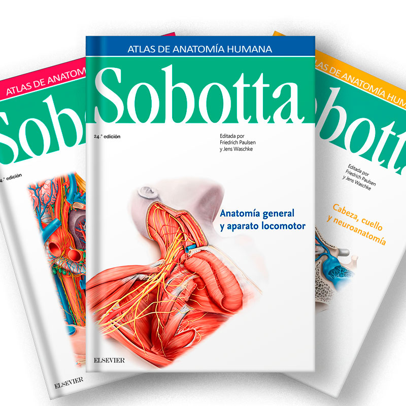 Sobotta Atlas de anatomía humana 24 ed vol 1-2-3