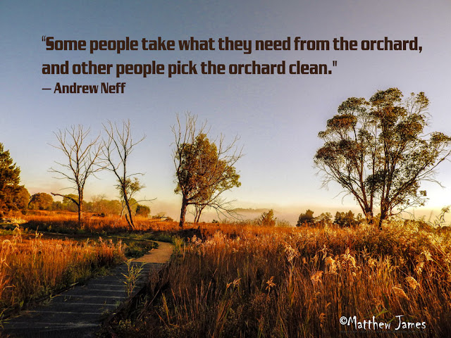 'Some people take what they need from the orchard,and other people pick the orchard clean'- Andrew Neff