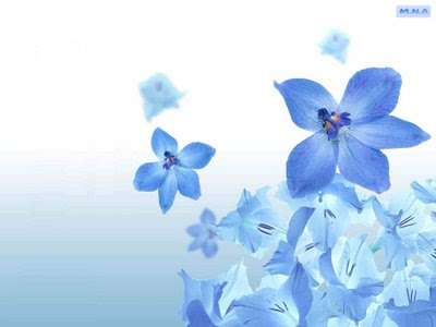 Flower Backgrounds For Laptops. flowers background pictures.