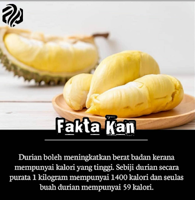 Durian Menggemukkan? Fakta Atau Auta? - Info  Inspirasi 