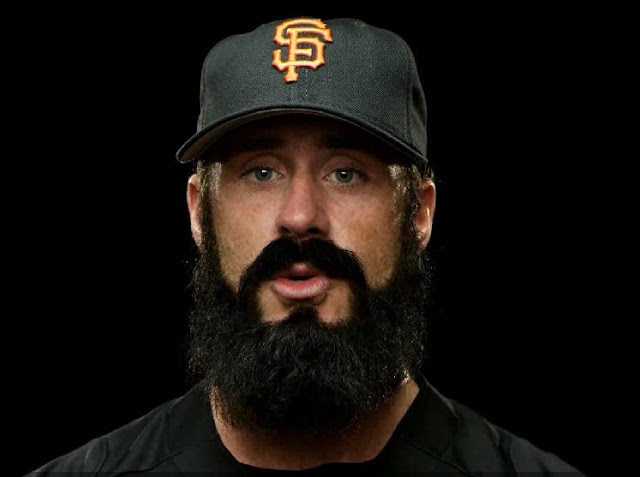 Brian wilson beard 2011