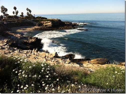 socal_jan_2012 047