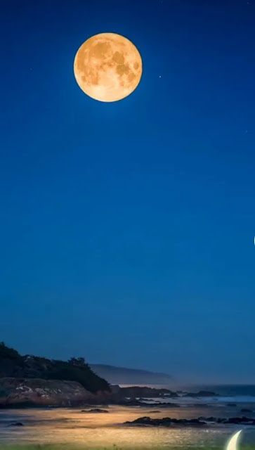 Special with Good Night Images & Photos, pics