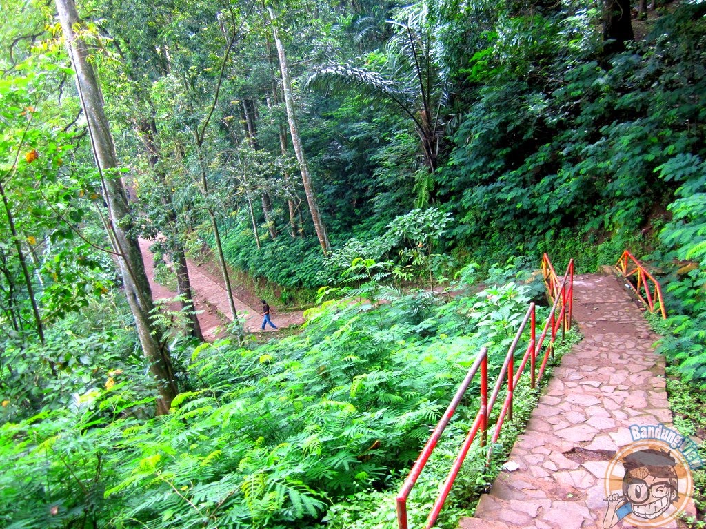 Taman Hutan Raya Ir H Juanda Kota Bandung Bandung View