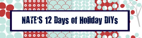 Nate's 12 Days of Holiday DIY's {Day 2}
