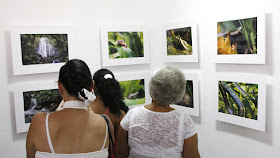 se inauguró en el Museo Nacional de Historia Natural de Cuba la exposición fotográfica: "El Bosque Pluvial del Yunque", del artista puertorriqueño Ramón Frontera Nieves.