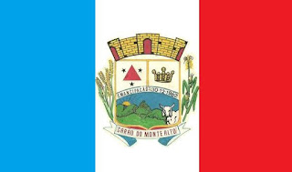 Bandeira de Barão de Monte Alto MG