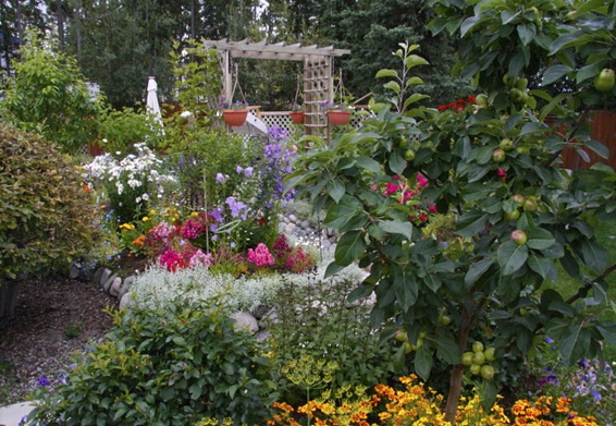 arbor2