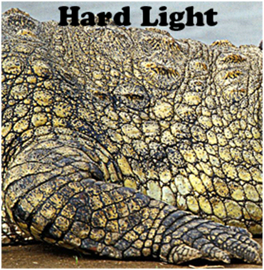 Hard Light