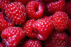 Raspberry dan manfaatnya