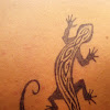 Gecko Tattoo Design : Maori Style Gecko Tattoo Tribal Tattoo Of The Gecko Lizard With Polynesian Maori Ethnic Elements Canstock : Colorful abstract decorative tattoo style gecko lizards, assembled to compose a perfect.