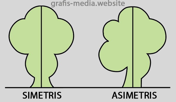 Contoh Benda Simetris  Dan Asimetris