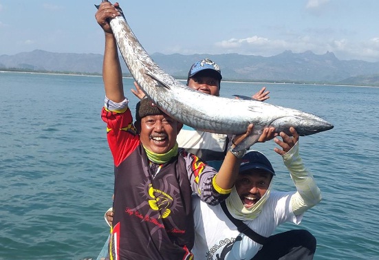 Cara Memancing Ikan Tenggiri Agar Dapat Banyak Ini beliau Cara Memancing Ikan Tenggiri Agar Dapat Banyak