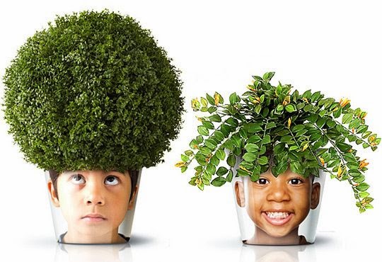 http://www.designswan.com/archives/facepot-fun-and-innovative-flower-pot-displaying-familiar-faces.html