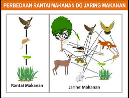 Ekosistem (Pengetian, Komponen, Interaksi, Tipe/Macam dan Contohnya)