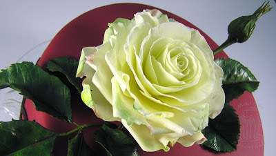 Geburtstagstorte mit Zuckerrose gumpaste rose blütenpaste windbeuteltorte