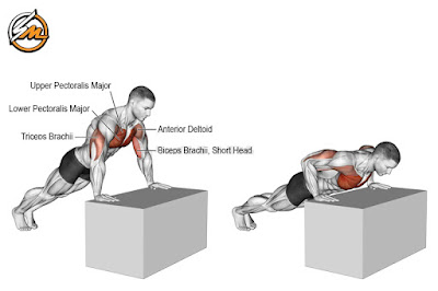 5 Best Lower Chest Exercises for Muscle Mass and Definition