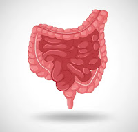 Better Bowel Movements .