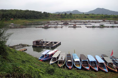 Wisata Danau Jangari