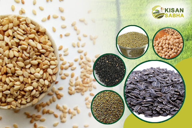 Agriculture seeds wholesalers