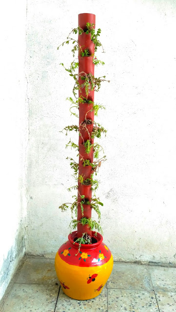 Aniket Dabhade - VU3LOL Homemade Flower Tower for chini gulab