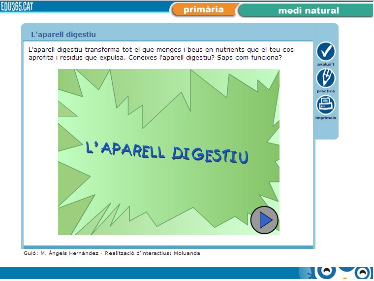 http://www.edu365.com/primaria/muds/natural/digestiu1/index.htm