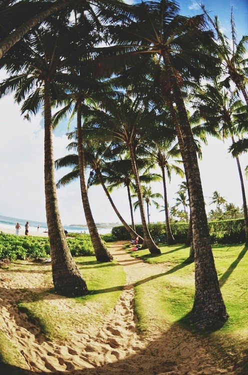 The Palm Beach, Aruba