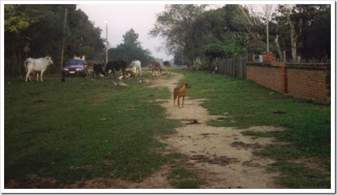 Paraguay streets