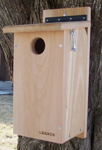 Flicker Bird House Plans