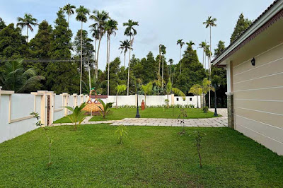 Tukang taman Surabaya pupuk untuk rumput jepang