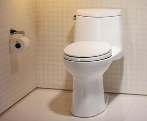 Cara Aman Gunakan Toilet Umum